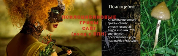 соль курить ск Балабаново