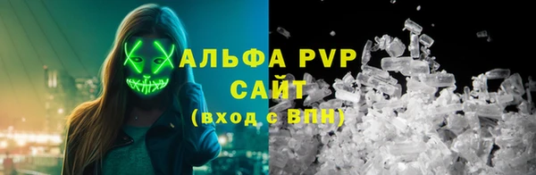 ECSTASY Богородск