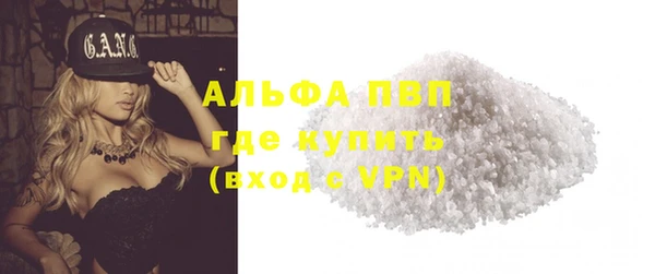 спиды Болотное