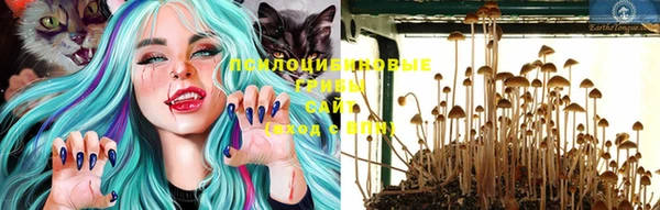 соль курить ск Богданович