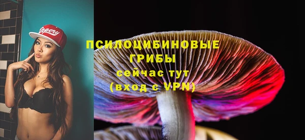 соль курить ск Богданович