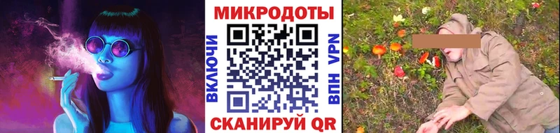 сколько стоит  Вяземский  Псилоцибиновые грибы мицелий 